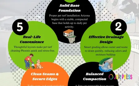 Pet-Grade Turf Secrets Every Arizona Pet Owner Should Know