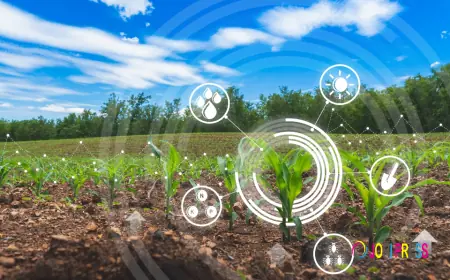 Smart Agriculture Solution Market Analysis Exploring Data-Driven Farming And Sustainable Productivity Growth Worldwide