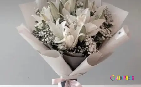 Express Your Condolences with Thoughtful Sympathy Flowers South Yarra