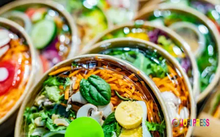 Fast Food Containers Market Insights Highlighting Innovation In Paper Based And Fiber Packaging