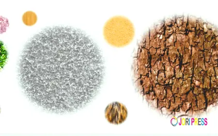 Building Competitive Mindsets Through Discipline and Focus