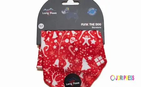 Beyond the Lead: How Thoughtful Dog Accessories Elevate Everyday Adventures