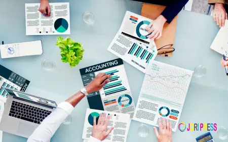 Why Choosing a Top Accountant Is Critical for Long-Term Business and Wealth Success