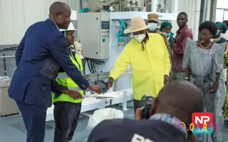 How Dei BioPharma’s mRNA platform will boost quick disease outbreak response & cut external supply dependable.