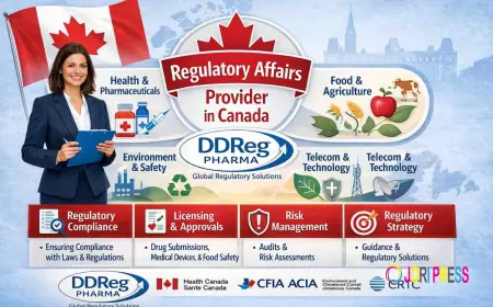 Top Regulatory Affairs Services Provider in Canada | Compliance & Market Access Experts