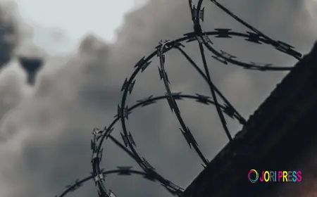 Amnesty Justice, Forgiveness, and Social Reconciliation