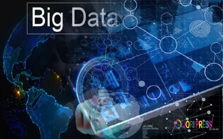 Big Data Analytics Software Market Insights Highlighting Demand For Real Time Data Processing