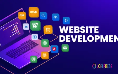 Need a Website Developer in Jaipur? What Should You Expect?