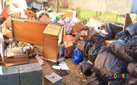 Affordable Way to Get Rid of All Your Junk