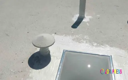 Providing Exceptional Customer Service and Taking Great Care