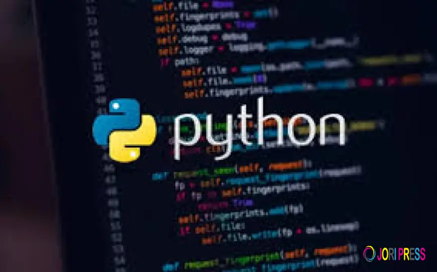 How to Solve My Python Assignment?