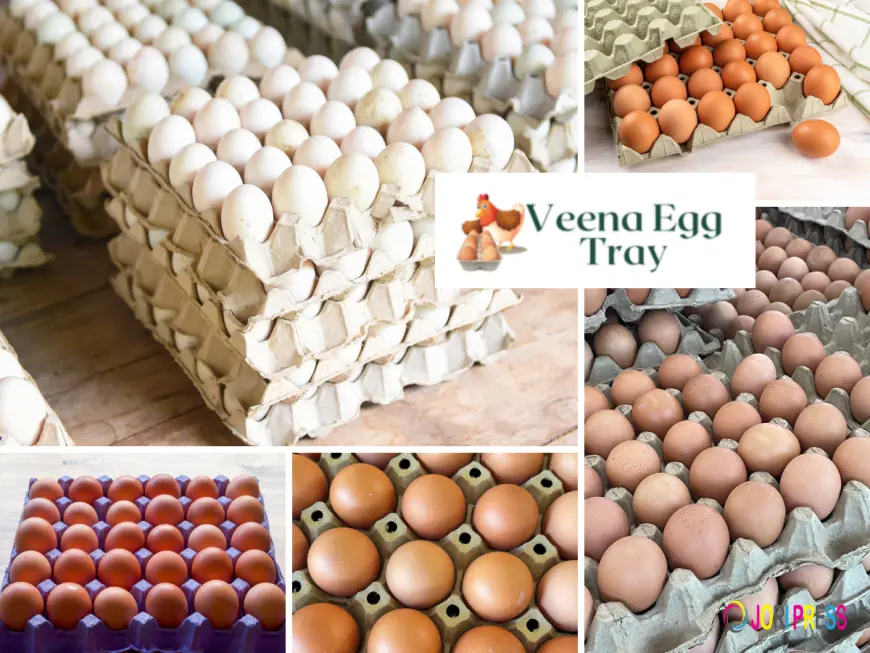 Egg Tray Manufacturers in India – A Complete Guide ft. Veena Egg Tray