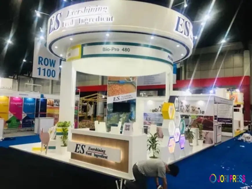 Why Exhibitors Choose Whimsical Exhibits as Their Trusted Stand Manufacturer