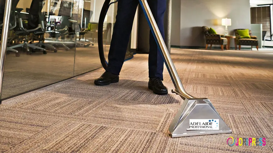 What Should You Expect from Carpet Cleaning Services?