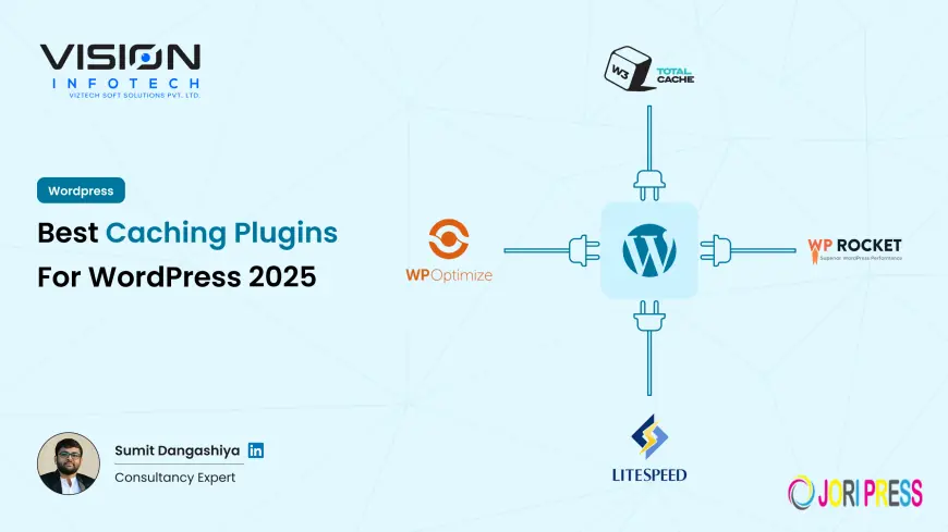 Why Your Business Needs a Custom WordPress Plugin ?