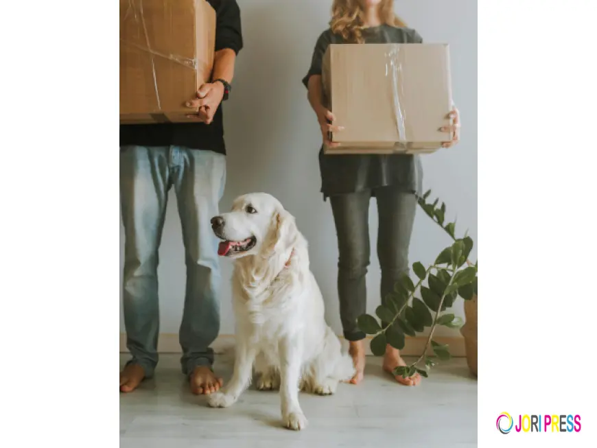 Mark's Moving & Storage Launches Specialized Senior Relocation Services