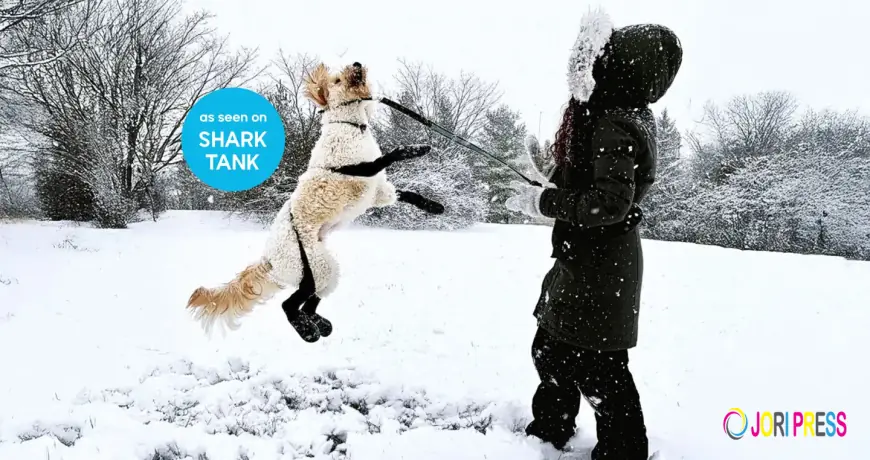 The Surprising Benefits of Dog Booties for Indoors You Didn’t Know