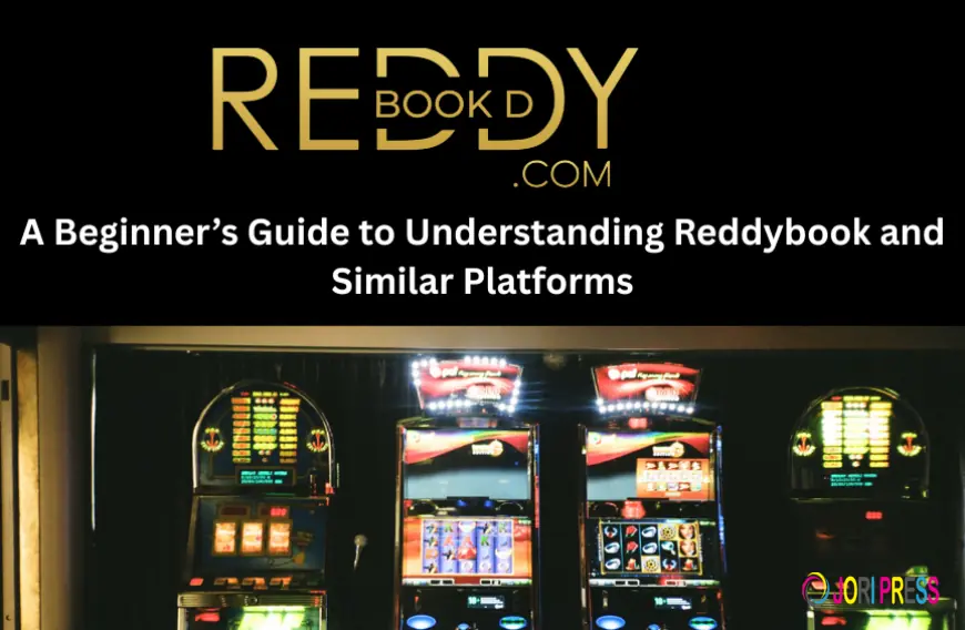 A Beginner’s Guide to Understanding Reddybook and Similar Platforms