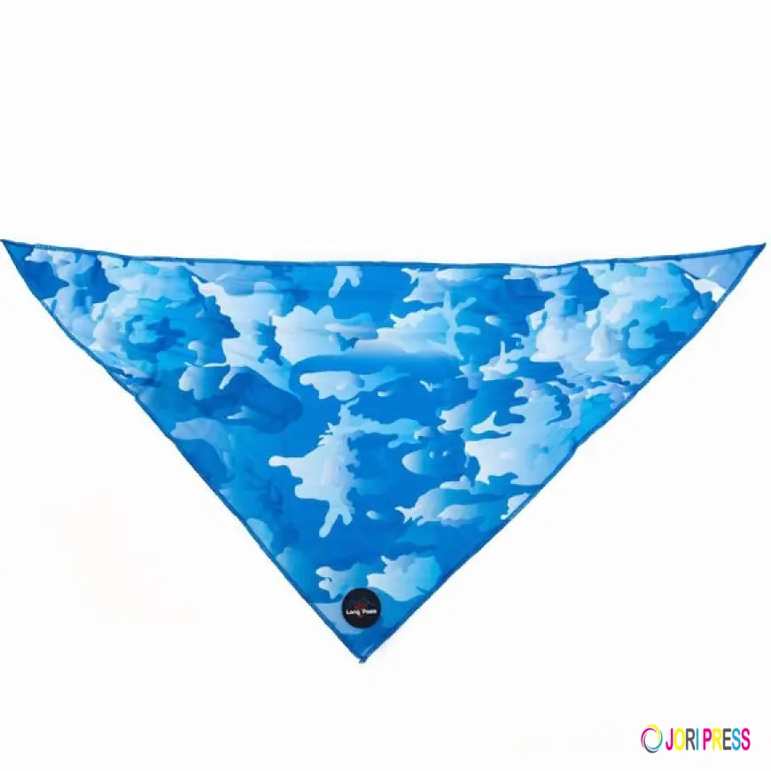 The Complete Dog Walking Guide: Choosing the Best Harness for Dogs, Dog Leads & Dog Collars