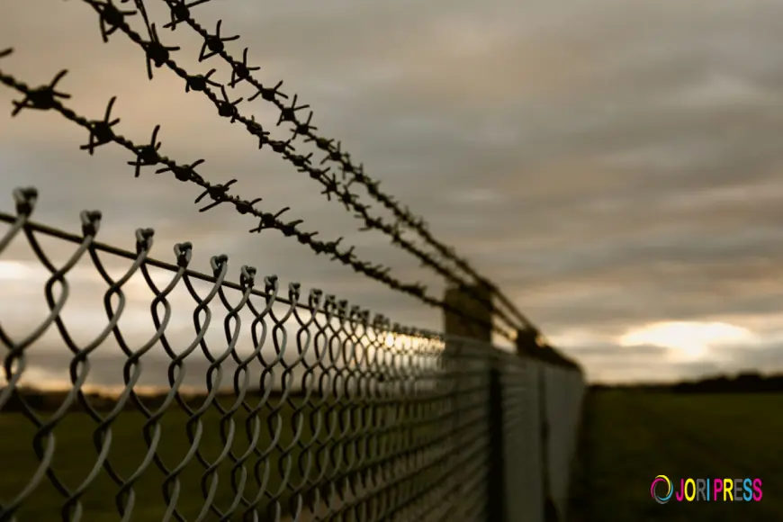 Central Coast Fencing Industries Enhances Property Safety with Chain Wire