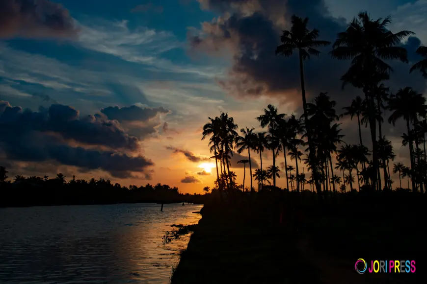 Kerala Tour Package for Solo Travelers: Safety, Tips & Best Routes