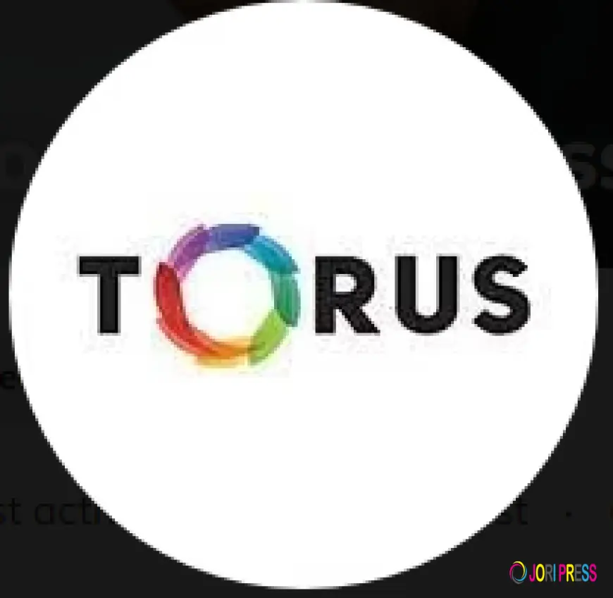 Best Cold Press Juicers & Slow Juicer Machines in Australia | Torus