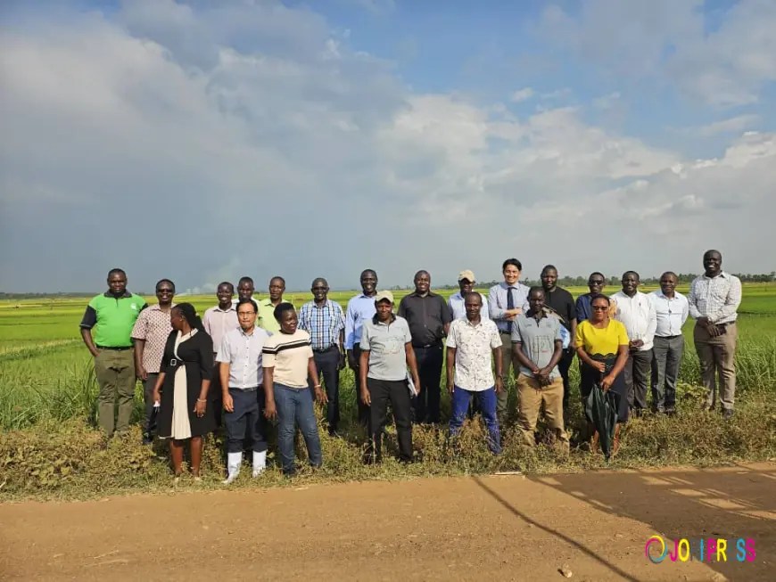 NARO, JICA Edge Closer to Releasing New Aromatic Rice Varieties