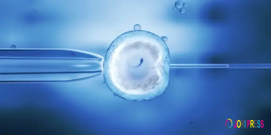 IUI vs IVF: Choosing the Right Fertility Treatment