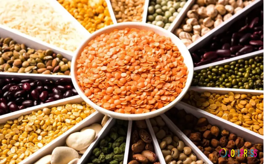 No.1 Pulses Brand in India – Trusted Suppliers & Manufacturers