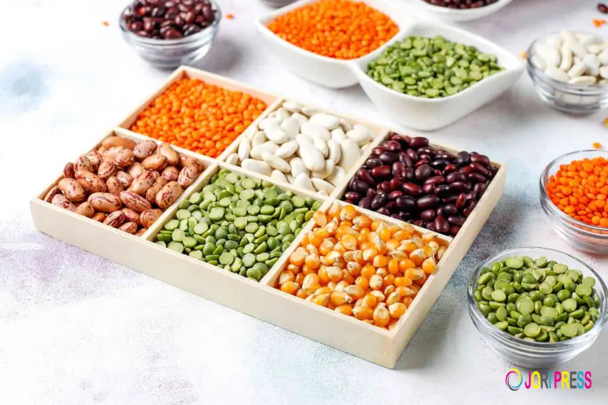 How to Choose the Right Beans Company in India