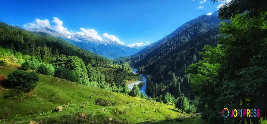 How to Plan a 7-Day Kashmir Tour Package for First-Time Travelers