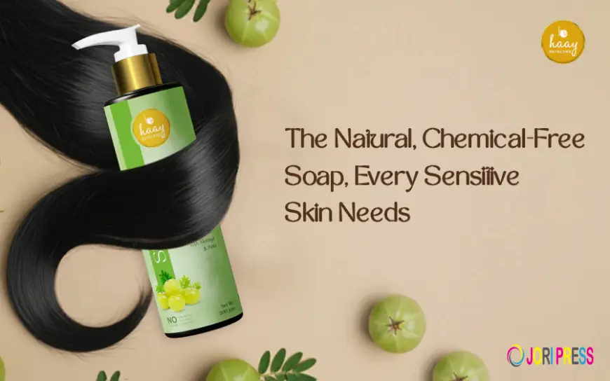 Best Herbal Shampoo for Hair Fall Control: Ingredient Breakdown and Why Haay Skincare Is Better