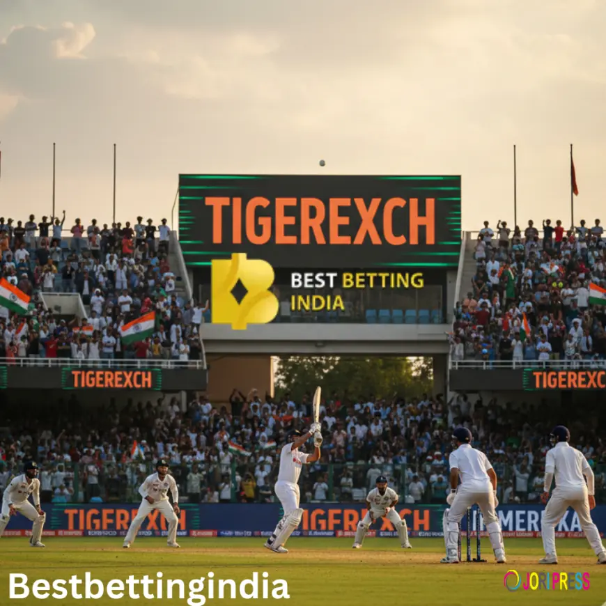 Is TigerExch the BestBettingindia Platform in India?