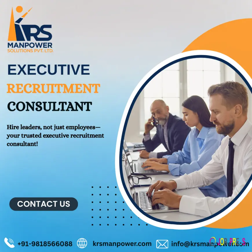Executive Recruitment Consultant for Strategic Leadership Hiring