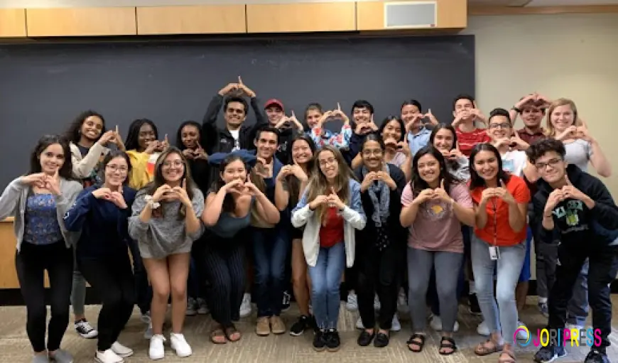 Reasonable Student Housing in Singapore: Homestays, Hostels & Rental Possibilities