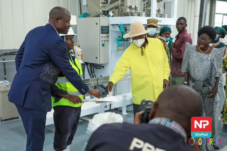 How Dei BioPharma’s mRNA platform will boost quick disease outbreak response & cut external supply dependable.