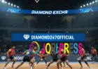 Diamond Exch9: Everything Users Are Talking About | diamond247official