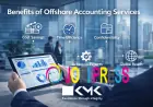 Why Growing Companies Prefer Offshore Accounting Services for Flexibility? 