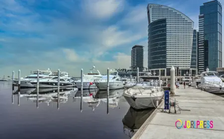 Key Marina Industry Trends Driving Modern Marine Businesses