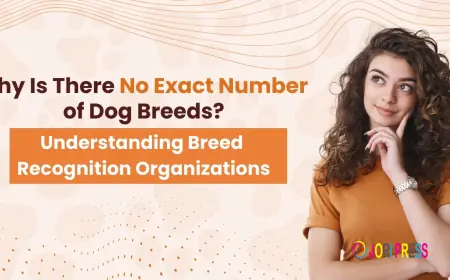 Why Is There No Exact Number of Dog Breeds? Understanding Breed Recognition Organizations