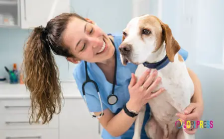 Essential Pet Nutrition Guidelines for Every Pet Owner