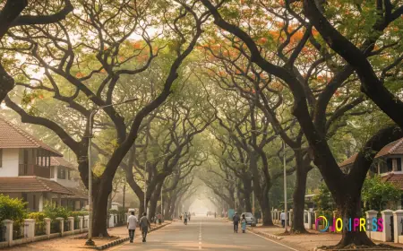 The Charm of Old Bangalore: Investing in Jayanagar Greenery