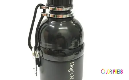 Festive Paws: Elevate Your Dog’s Christmas Look with a Dog Xmas Neckerchief