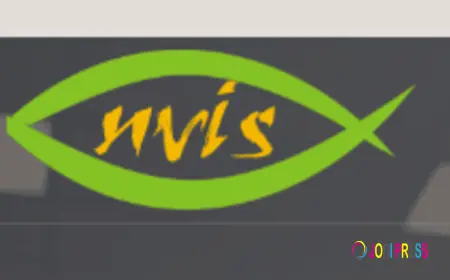 Digital Oscilloscope Price Range: What Do You Get at Each Budget?