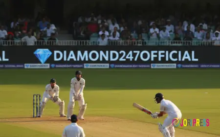 Why Diamondexch Is Gaining Popularity – Diamond247official Insights