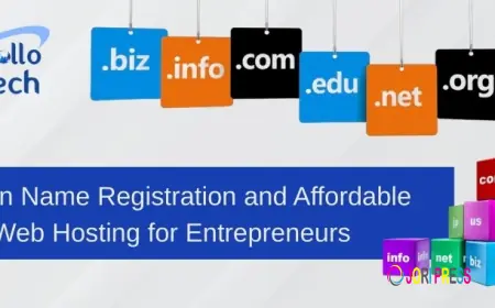 Domain Name Registration and Affordable Web Hosting for Entrepreneurs