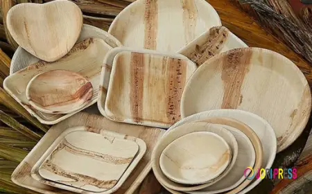 Best Areca Plate Manufacturers in India