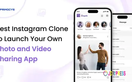 Best Instagram Clone to Launch Your Own Photo and Video Sharing App