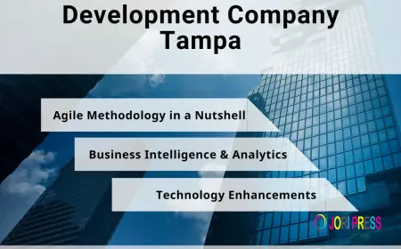 Why Tampa Custom Software Development Saves Businesses 30-50% on Costs