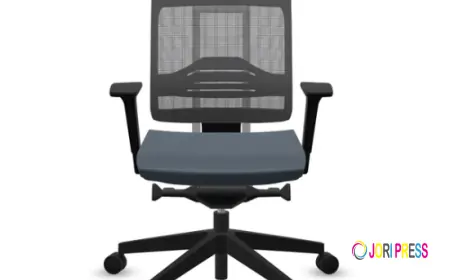 Lower Back Pain Office Causes, Prevention & Ergonomic Solutions